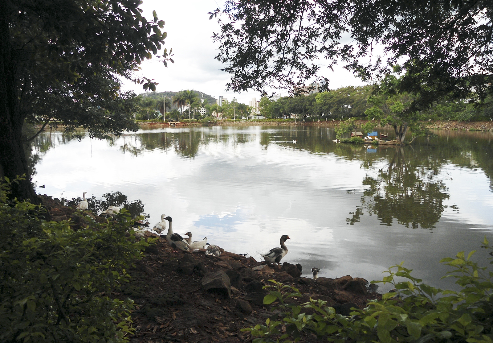 Parque Bariri, Pará de Minas/MG — região atendida pela AM Cabral Contabilidade